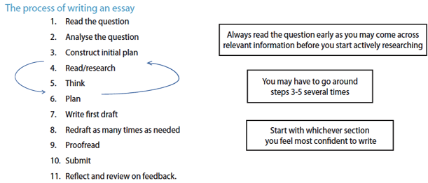 Cheap write my essay alko inc. case study