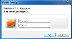 Windows network authentication screen